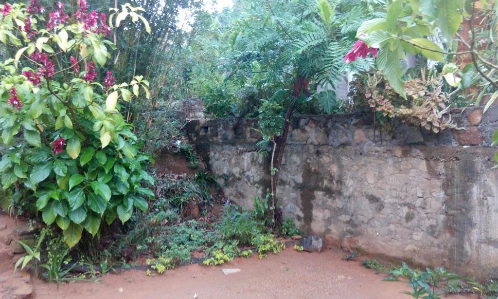 Mama Cottage Ella Luaran gambar